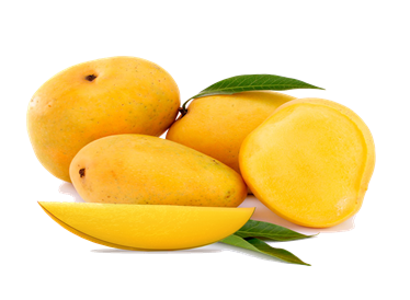 Mango (Neelam/Alphonso)